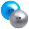Fitness-Mad 300kg Anti-Burst Swiss Ball -Knockout Deals on Boxing Gear FBALLAB copy