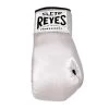 Cleto Reyes WBC Autograph Glove – Silver 1 Cleto Reyes WBC Autograph Glove – Silver -Knockout Deals on Boxing Gear Image 06 08 2022 at 13.15 copy copy