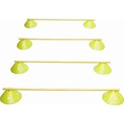 BXR Fitness Mega Disc/Pole Ladder Set – Yellow