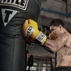 TITLE Big Bang Heavy Bag -Knockout Deals on Boxing Gear big bang 3