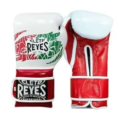 Cleto Reyes Hook And Loop Sparring Gloves – Mexican Edition