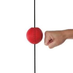 Winning SB-9000 Mini Striking Floor To Ceiling Ball